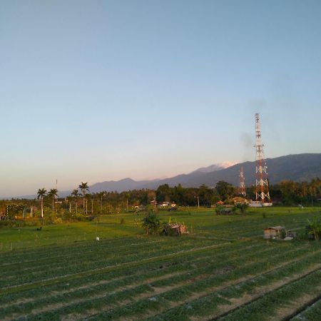 Lovina Villa Bintang מראה חיצוני תמונה